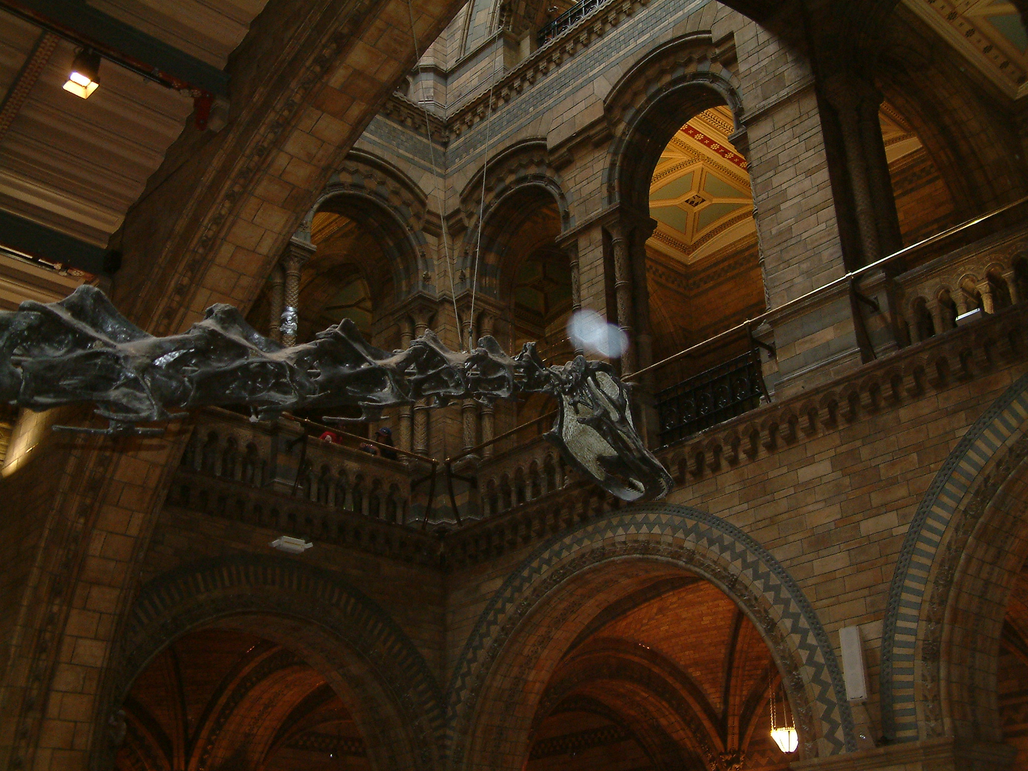 foto, jpg-image