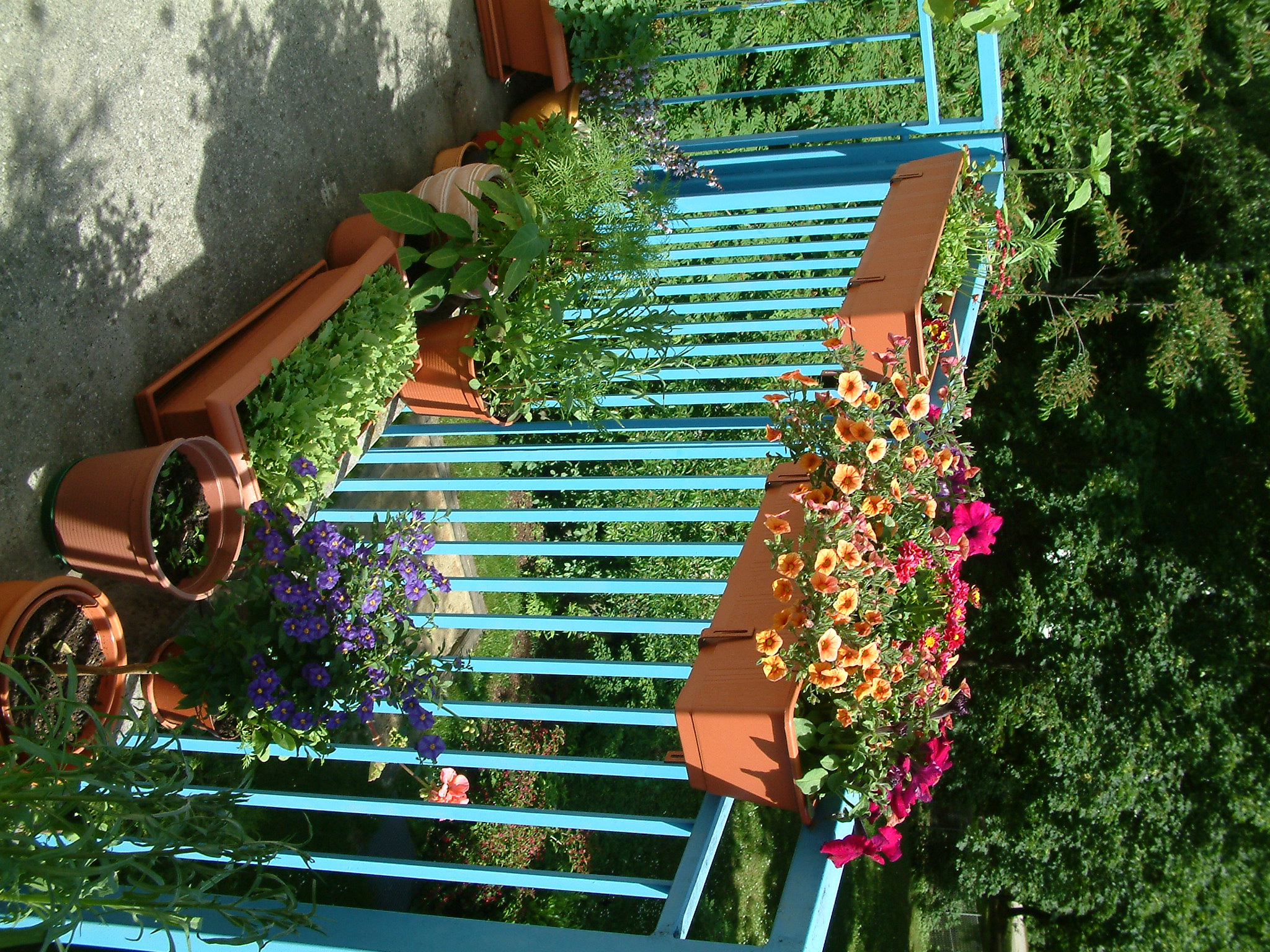 foto, jpg-image